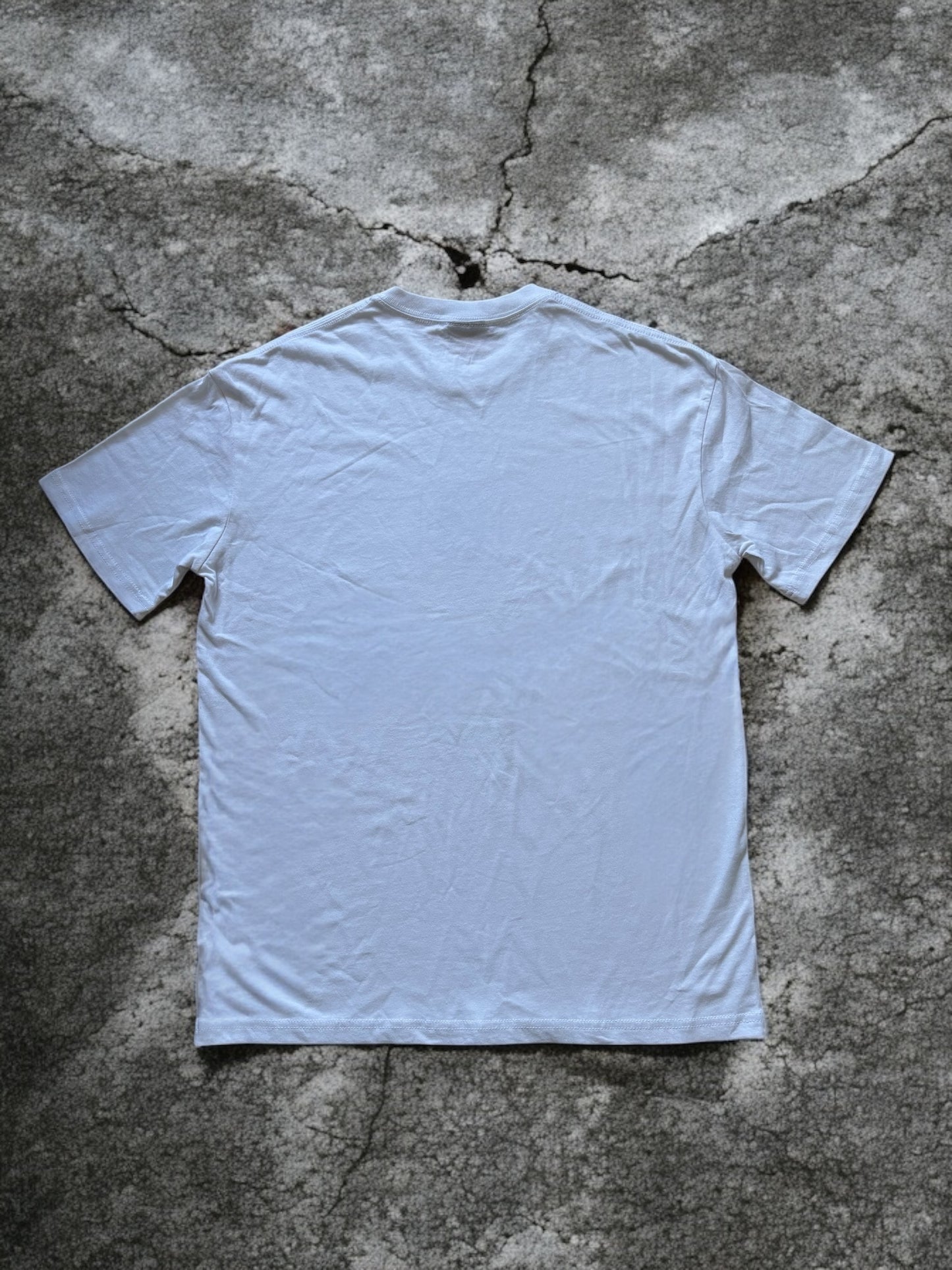 Stüssy Globe T-Shirt Hvid