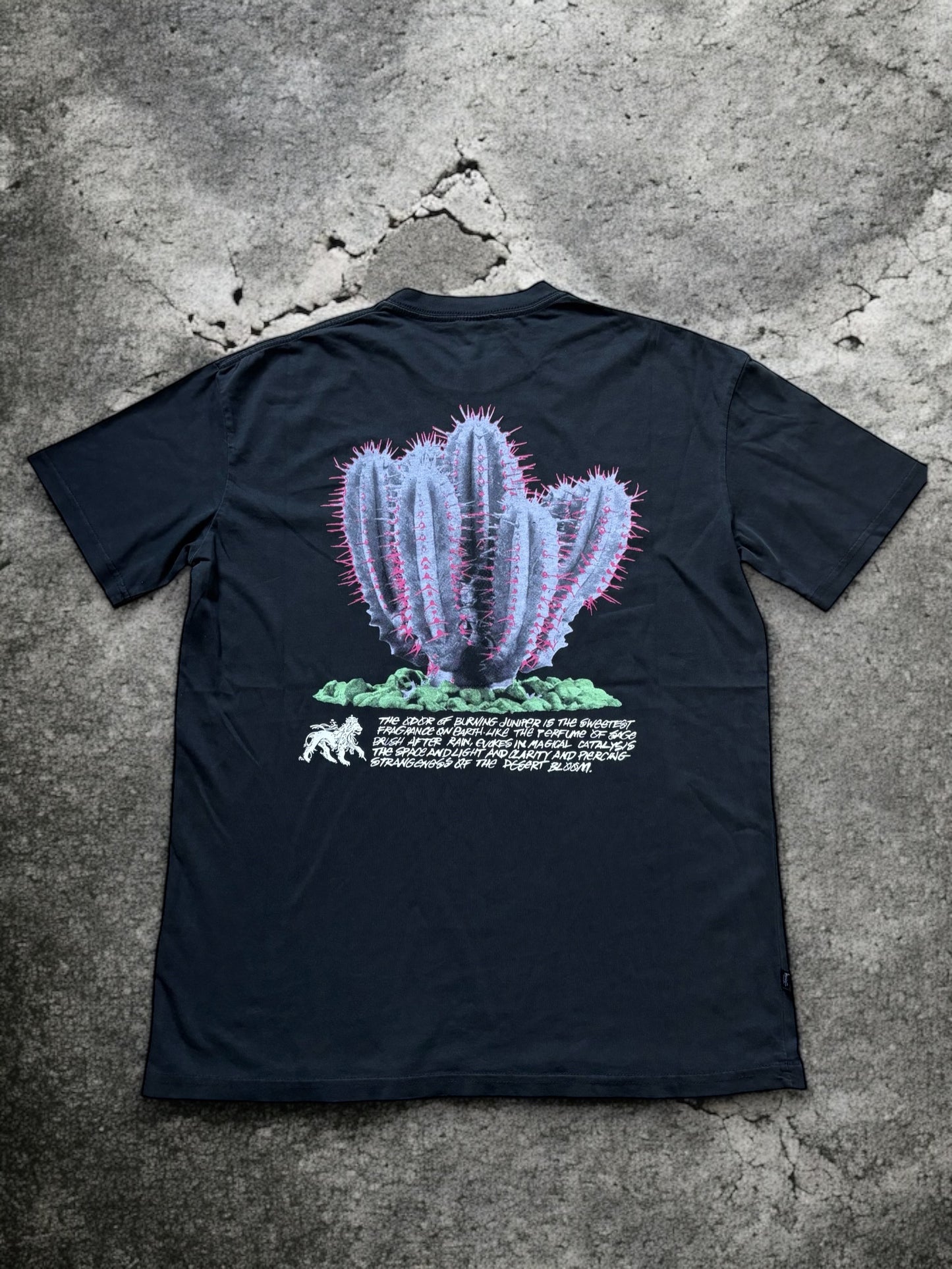 Stussy Desert Bloom T-Shirt Sort