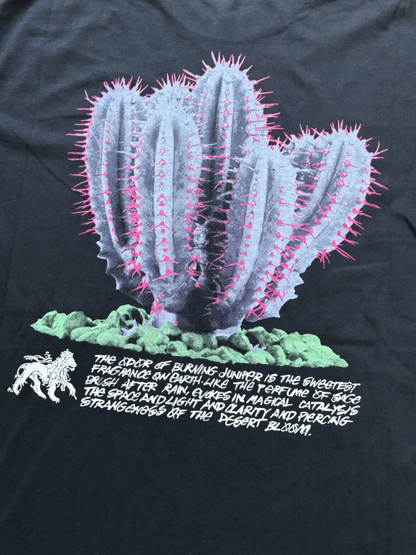 Stussy Desert Bloom T-Shirt Sort